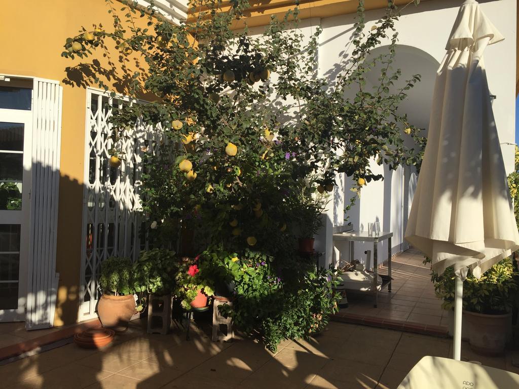 Hotel Arco Del Sol Colmenar Exteriér fotografie